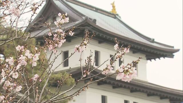 「最高ですね、春が来た」北海道に桜前線上陸！平年よりも11日早く　列島縦断の前線の旅もあと少し！ サムネイル