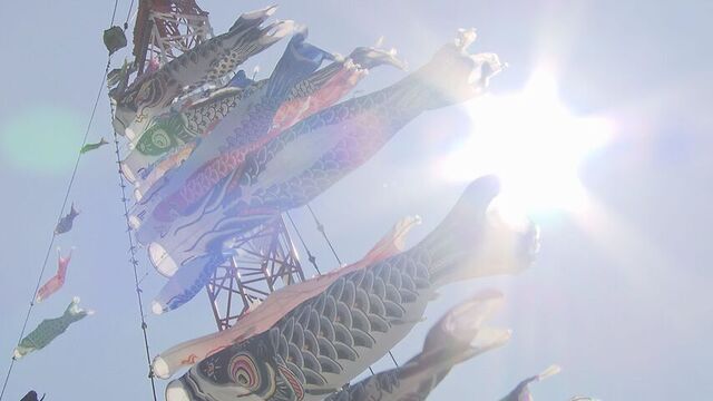 地上５５ｍの空を泳ぐ「クレーンこいのぼり」　吊り上げ作業に密着　北海道・北広島市
