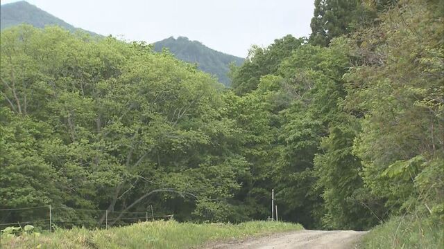 タケノコ採り中に行方不明となっていた70代の女性か　函館市の山林で女性が心肺停止の状態で見つかる サムネイル