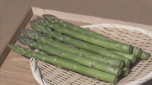 馬産地ならではの甘み！春アスパラ出荷最盛期　北海道・新ひだか町 サムネイル