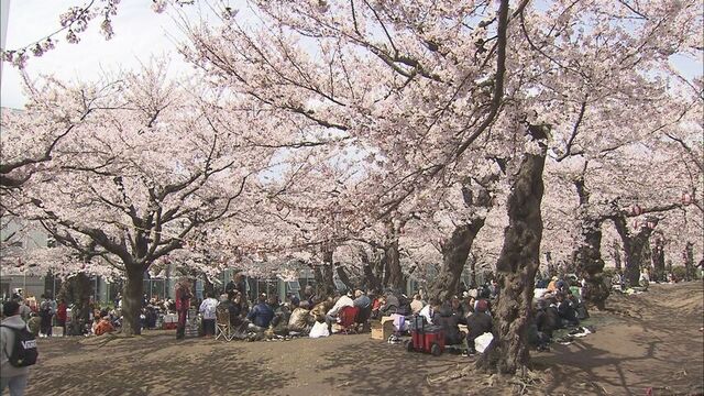 変化するお花見　火気禁止、デリバリー弁当や節約術…物価高乗り切る一方「物価高忘れてパッと花見」の声も サムネイル