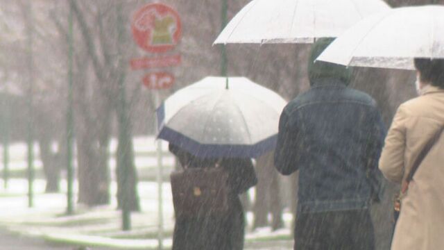「見たくないです。もういい。」北海道各地で雪　30日にかけて多いところでは30センチの降雪も サムネイル