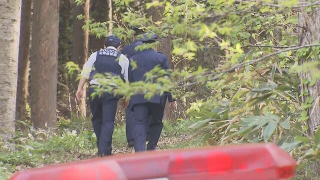 「フキを採りに行く」函館市の７０代男性が行方不明　警察が厚沢部町の山林を捜索