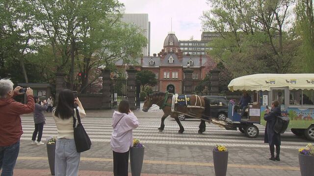 「初めてですけど感動です。」　元ばん馬の「だいちゃん」と街をめぐる…札幌で観光馬車の運行はじまる