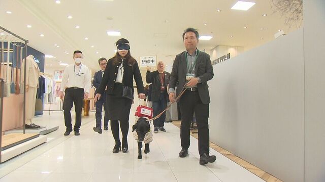 盲導犬と共に学ぶ、視覚障害者への温かい接客　札幌のデパートで講習会 サムネイル