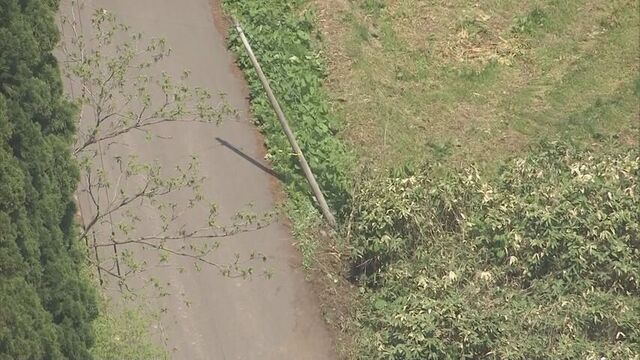 速報　スクールバスとして使用の乗用車が電柱に衝突　児童２人けが　「うとうとしていた」北海道・八雲町