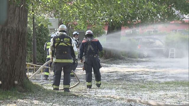 ポプラの綿毛から？　火が燃え移ったのか　札幌・南区の公園で立ち木が燃える火事　けが人はなし サムネイル