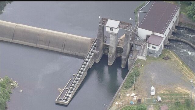 北海道・尻別川でサクラマス大量死　取水堰の魚道開放遅れと水温上昇が原因か サムネイル