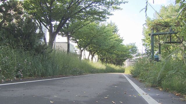 札幌市白石区サイクリングロードでわいせつ事件　20代女性が被害、20～30代のTシャツハーフパンツの男逃走 サムネイル