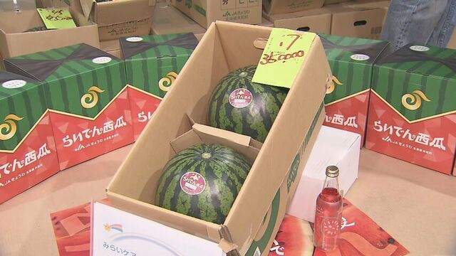 ２玉３５万円の最高値で落札　共和町の特産「らいでんスイカ」の初競り　「農家の励みに少しでもなれば」
