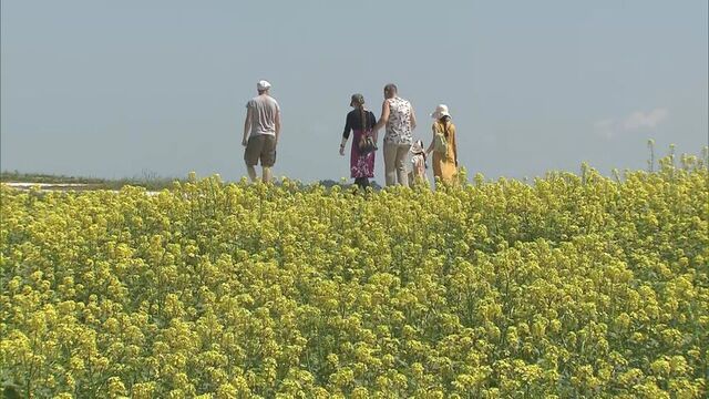 「６月なのに‥」道内は内陸中心に真夏の暑さ　きょうも３０℃超え