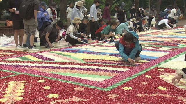 札幌市中心部に色鮮やかな花びらの巨大カーペット　「4種類の景色とグルメを楽しんで」 サムネイル
