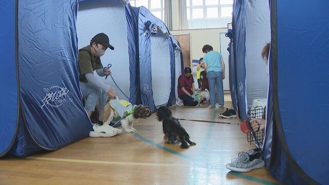 ペットと一緒「同伴避難」訓練　22世帯23匹が参加　有珠山噴火を想定　世帯ごとにテント設置　伊達市 サムネイル