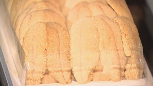 「オークションで落札された最高額ウニ」ギネス認定に町長も歓喜　森町のムラサキウニそのお値段700万円！ サムネイル