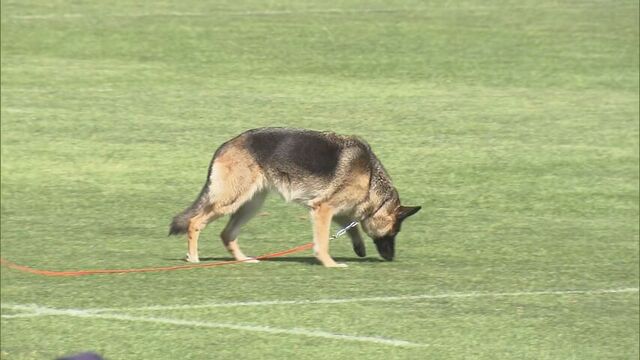 犯人の匂いをかぎ分けろ！「嘱託警察犬審査会」に民間のシェパード犬やシベリアンハスキーなど７８頭