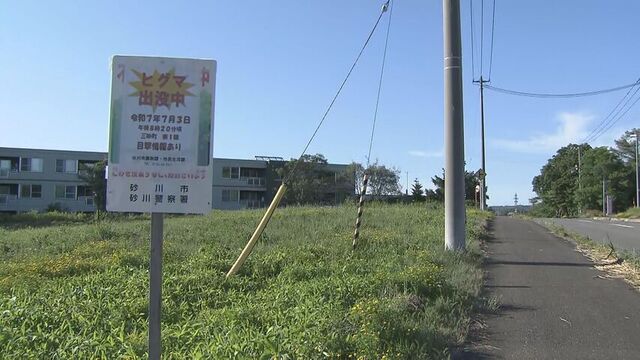 「ヒグマ注意報」目撃相次ぐ砂川市全域で　7日間で12件