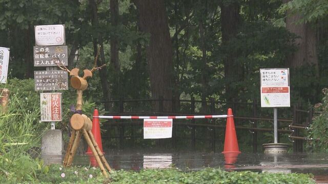 札幌市豊平区にある西岡公園で　クマの目撃が相次ぐ　西岡公園を閉鎖し、キャンプ場にいた利用者も帰らせる サムネイル