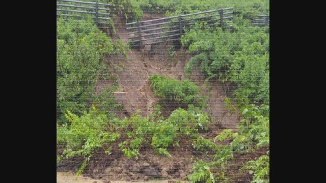 道内は前線が接近する影響で道北を中心に大雨　天塩町は6時間降水量が144・5ミリと観測史上一番の大雨 サムネイル