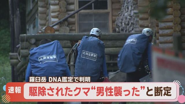【速報】道・羅臼岳で駆除の母グマ　死亡男性を襲った個体と断定 サムネイル