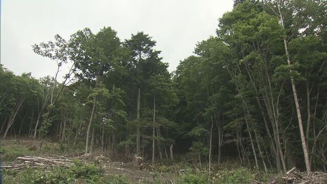 羊蹄山麓の水源地巡る訴訟　水源保護を求めるニセコ町民の約半数以上と町外の約21.5万人の署名集まる