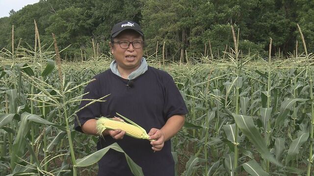 高橋ファーム 高橋信一郎さん