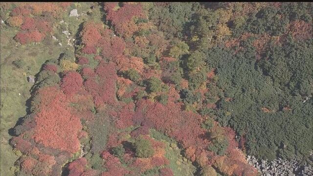 日本一早い紅葉、大雪山系黒岳と旭岳が見頃　3連休最終日は多くの登山客で賑わう サムネイル