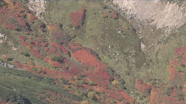 秋到来もまだまだ夏日続く？大雪山系は紅葉 残暑の札幌でオータムフェスト 病院では敬老の日に合わせた祭も