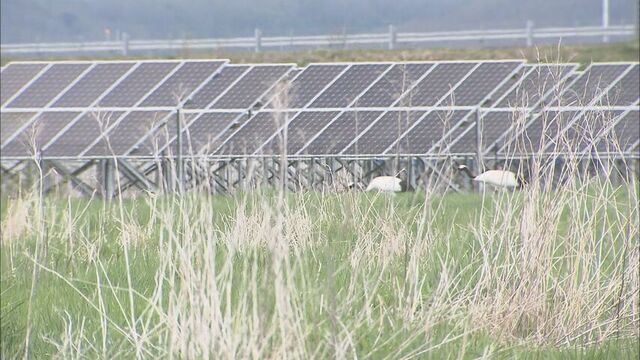 釧路市　太陽光発電施設を許可制とする条例案が全会一致で可決