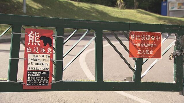 札幌でクマの目撃相次ぐ　旭山記念公園は閉鎖・西区山の手でも道路横断 サムネイル