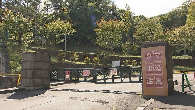 クマ出没の影響道内各地に　旭山記念公園閉鎖・清水町ではデントコーン食害で近くの学校が臨時休校 サムネイル