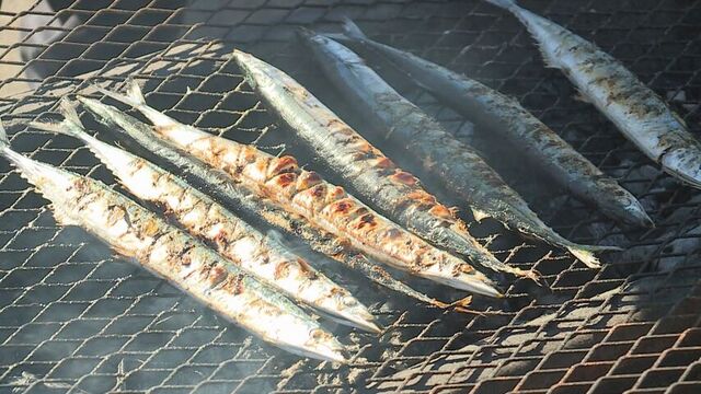 北海道内スーパーの生サンマは安定して獲れる見通し　サンマが好む冷たい水温帯が港から近く水揚げ好調 サムネイル