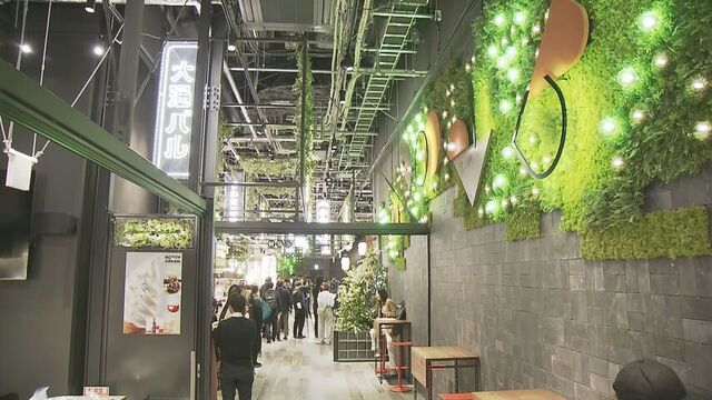 札幌・大通エリア商業施設「4PLA」地下にバル誕生し9日全面開業　様々なジャンルのグルメ展開 サムネイル