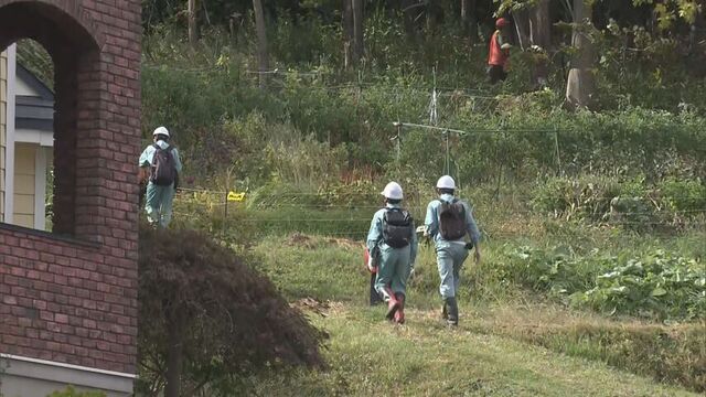 札幌市西区西野で　箱わなにかかっていたオスのクマ１頭を駆除　西区ではヒグマ警報継続中