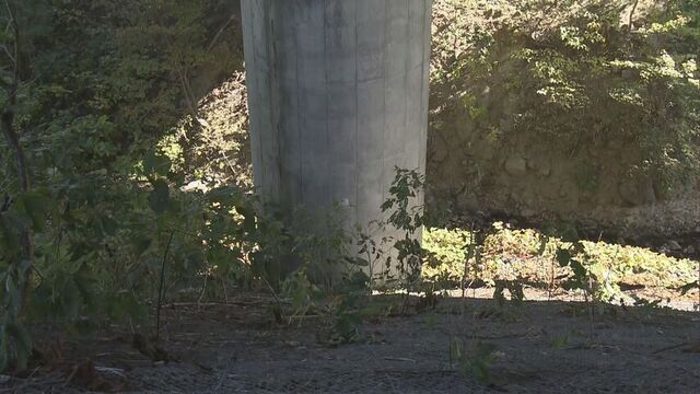 登校中の小樽市中学生が2メートル級のクマに遭遇　小樽市でクマ目撃情報相次ぎ警戒　住民に不安広がる サムネイル