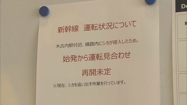 JR貨物の運転士がシカを目撃　北海道新幹線６本運休　点検のため一時運転を見合わせ