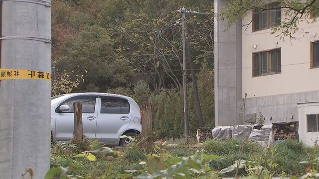 【札幌でクマ目撃】手稲区の特養ホームでクルミの木の近くにクマ　北区の小学校は保護者に車送迎を呼びかけ