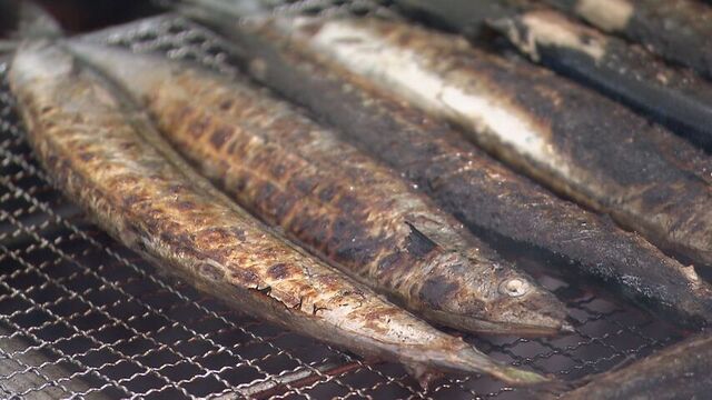 「脂のって 最高」サンマ炭火焼に長い列　根室から直送市　北海シマエビや花咲ガニも　秋の味覚を札幌で