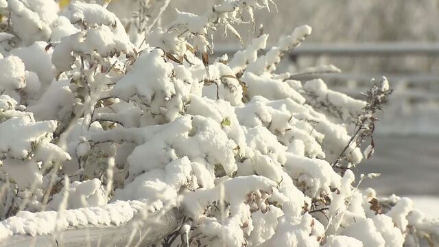 各地で初雪　震える寒さの北海道　11月中旬から下旬並みの強い寒気　早めの冬支度に最新グッズ サムネイル