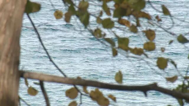支笏湖の水深約30mに遺体　　警察が引き揚げるも年齢性別不明 サムネイル