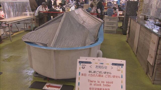 観光客がっかり函館朝市から活イカ消える 資源保護の漁獲枠超過で小型イカ釣り漁休漁 市は国に再開求める サムネイル