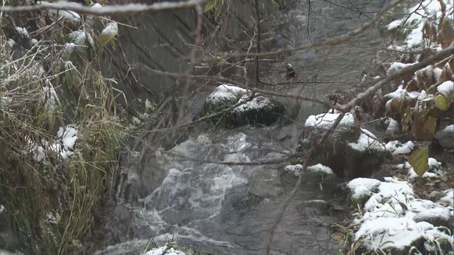 川の水を無断で使用した河川条例違反も 先月閉園した「ノースサファリサッポロ」への家宅捜索 サムネイル