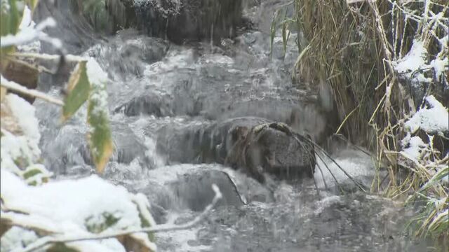 ノースサファリサッポロ　近くを流れる川の水を無断でアザラシやビーバーなどを飼育する池に使用か サムネイル