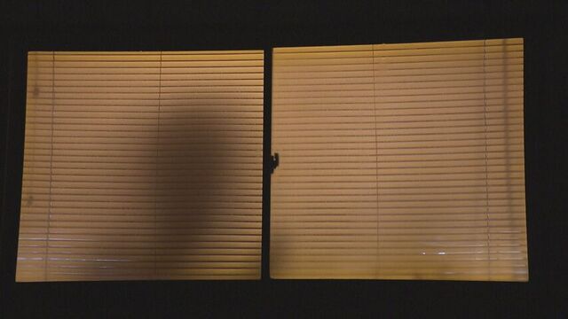 ネット上にあげられた動画は事実と異なると話すパキスタン人