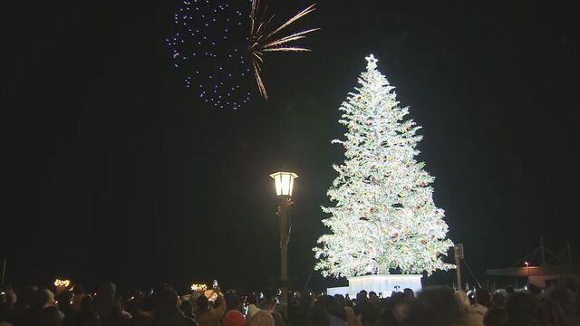 港町・函館がクリスマスに染まる　１５万個のLEDに彩られた２０メートルの巨大ツリーと花火の共演