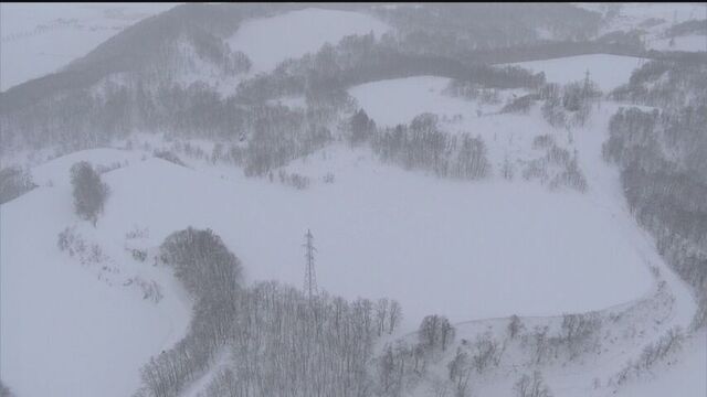 「勝手に工事をしないでほしい」三笠市メガソーラー計画　農地に無許可で地盤調査杭を設置し道から撤去指導 サムネイル