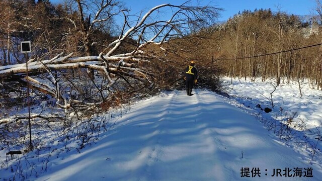 花咲線　別保～上尾幌間（12月16日午前９時ごろ）