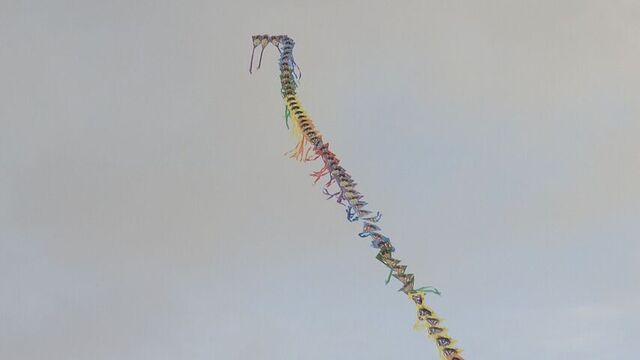 「1、2、3、ゴー!」空を舞う100枚の「連凧」 全長80m…札幌市東区で新春恒例の凧揚げ大会 サムネイル