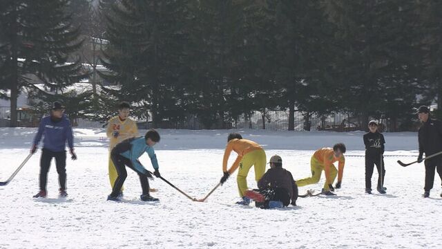 札幌の円山競技場でスノーホッケー大会開催　札幌生まれの冬のスポーツ　大人も子どもも歓声！