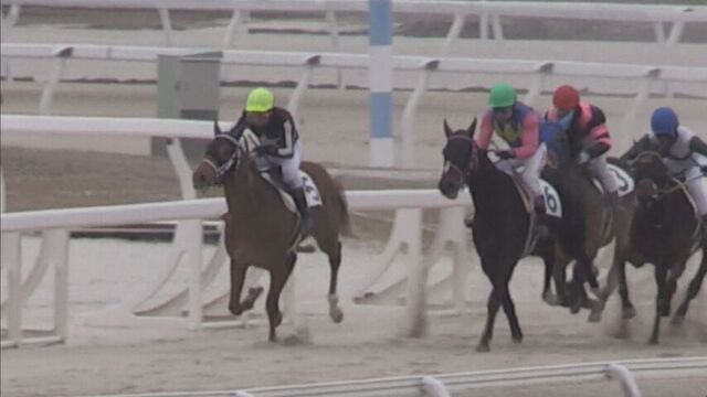 競走馬を目指して　サラブレッド2歳馬の能力検定始まる　門別競馬場