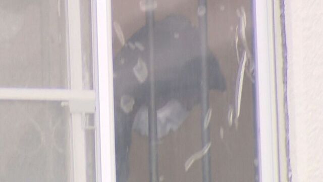 「不審者と思い込み…」知人の男性を殺害した罪、76歳被告に懲役7年　「誤想防衛」の主張退ける　函館地裁